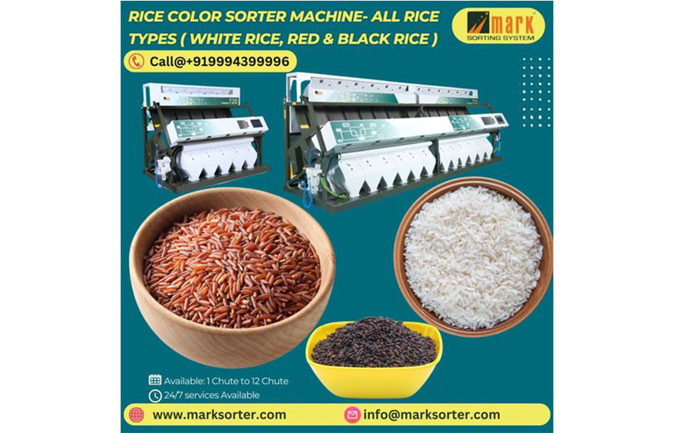 www.marksorter.com