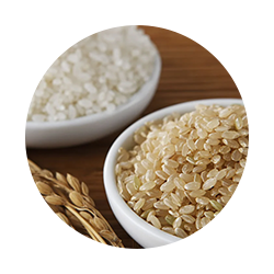 Rices  & Wheats