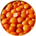 MASOOR DAL