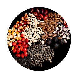 Seeds